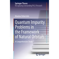 (英文圖書) Quantum Impurity Problems in the Framework of Natural Orbitals: A Comprehensive Study 精裝版, Springer, 英文