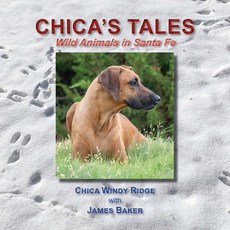 (英文圖書) Chica's Tales Wild Animals in Santa Fe 平裝版, Sunstone Press, 英文