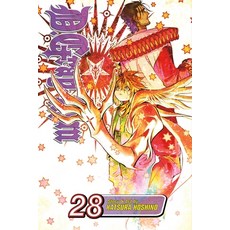 (英文圖書) D.Gray-Man Vol. 28 平裝版, Viz Media, 英文