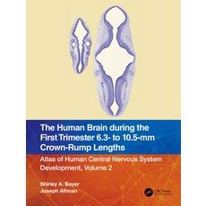 (英文圖書) The Human Brain During the First Trimester 6.3- To 10.5-MM Crown-Rump Lengths: Atlas of Human... 平裝版, CRC Press, 英文
