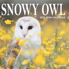 Snowy Owl: 2021 Mini Wall Calendar 平裝版, Independently Published, 英語
