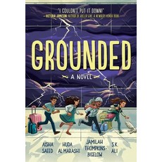 (英文圖書)Grounded 平裝版, Harry N. Abrams, 英文
