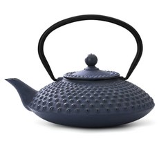 Bredemeijer 鑄鐵茶壺, 藍色