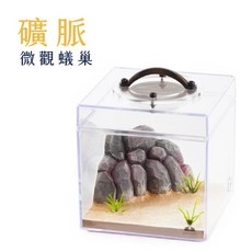 【捕蟻人】一體式蟻巢 自帶餵食區 微觀系列 礦脈 純手工製作 精品蟻巢 10*10*10cm