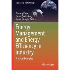 (英文圖書) Energy Management and Energy Efficiency in Industry: Practical Examples 平裝版, Springer, 英文