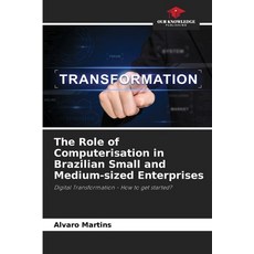 (英文圖書) The Role of Computerisation in Brazilian Small and Medium-sized Enterprises 平裝版, Our Knowledge Publishing, 英文