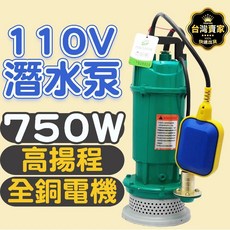 110V潛水泵 750W高揚程全銅電機, 1個