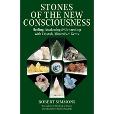 Stones of the New Consciousness: Healing Awakening and Co-Creating with Crystals Minerals and Gems 平裝版, Destiny Books, 英文