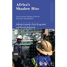 Africa's Shadow Rise: China and the Mirage of African Economic Development 精裝版, Zed Books, 英文