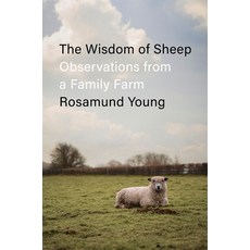 (英文圖書) The Wisdom of Sheep: Observations from a Family Farm 精裝版, Penguin Press, 英文