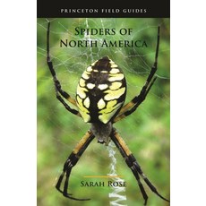 (英文圖書) Spiders of North America 平裝版, Princeton University Press, 英文