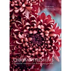 (英文圖書) Chrysanthemums: Beautiful Varieties for Home and Garden 精裝版, Gibbs Smith, 英文