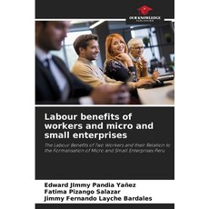 (英文圖書) Labour benefits of workers and micro and small enterprises 平裝版, Our Knowledge Publishing, 英文