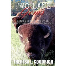 (英文圖書) Two Lane Gems Vol. 2: Bison are Giant and Other Observations from an American... 平裝版, Local Tourist, 英文