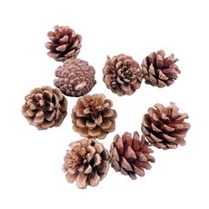松果聖誕節裝飾乾燥松毬花圈素材 9入原色松果 松果 DIY 聖誕樹裝飾 佈置裝飾 拍照道具 拍攝道具, 詳見包裝, 詳見包裝