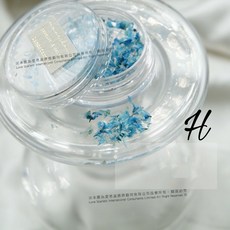 雙色乾花碎片飾品, H01469