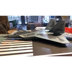 RBF 寄賣 豐正模型 1/50 F-22 SUPERSTAR 全新軍事飛機模型 收藏級軍事模型