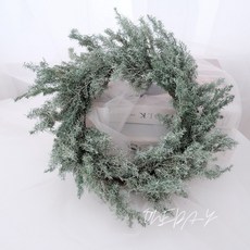 ONE DAY 聖誕花圈 永生花圈 雪松花圈 花環 雪松花環 聖誕花環, 晨霜綠, 1個