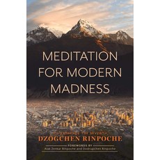 (英文圖書) Meditation for Modern Madness 平裝版, Wisdom Publications, 英文