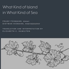 (英文圖書) What Kind of Island in What Kind of Sea? 平裝版, Lever Press, 英文