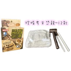 玩具先生 大顆考古挖掘恐龍化石玩具組 (暴龍/劍龍/翼龍/迅猛龍) 附挖掘工具 考古體驗 培養耐心與科學知識, 鼎豐~盒裝古代挖掘恐龍