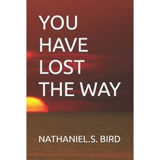 You Have Lost the Way 平裝版, Independently Published, 英文