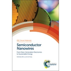 (英文圖書) Semiconductor Nanowires: From Next-Generation Electronics to Sustainable Energy 精裝版, Royal Society of Chemistry, 英文
