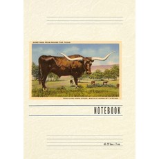 (英文圖書) Vintage Lined Notebook Greetings from Round Top 平裝版, Found Image Press, 英文