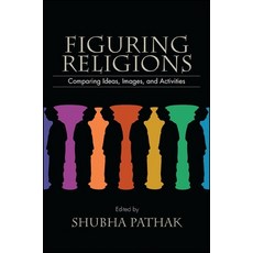 (英文圖書) Figuring Religions: Comparing Ideas Images and Activities 精裝版, State University of New Yor..., 英文