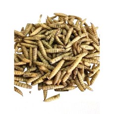 乾燥大麥蟲 南極蝦乾 烏龜飼料 守宮 蜜袋鼯 倉鼠飼料, 蠅蛆干（黑水虻）100克