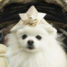 Onekosama 日式寵物頭飾, 1個, 淺褐色