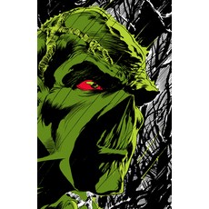 (英文圖書) Absolute Swamp Thing by Len Wein and Bernie Wrightson 精裝版, DC Comics, 英文