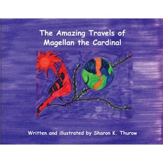 (英文圖書)The Amazing Travels of Magellan the Cardinal 平裝版, Henschelhaus Publishing, Inc., 英文