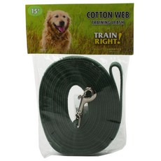 Coastal pet products inc 狗狗棉質牽繩 綠色, 1個