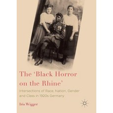 (英文圖書) The 'Black Horror on the Rhine': Intersections of Race Nation Gender and Class in 1920s Ger... 平裝版, Palgrave MacMillan, 英文