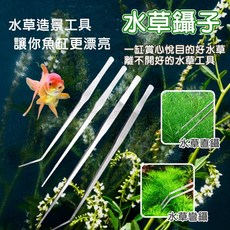 水草鑷子 水草夾 - 魚缸造景工具 苔蘚夾 水族用品 爬蟲餵食適用, 詳見包裝, 水草鑷子_直款,約27CM