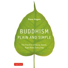 (英文圖書) Buddhism Plain and Simple: The Practice of Being Aware Right Now Every Day 精裝版, Tuttle Publishing, 英文
