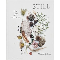 (英文圖書) Still: The Art of Noticing 精裝版, Monacelli Press, 英文