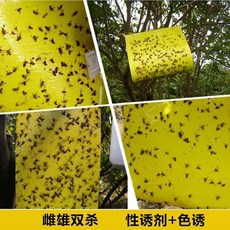 熊貓購物 雙面黏蟲版 發票現貨 果蠅 薊馬 果實蠅 造型黏蟲版 黃色黏蟲紙 黃色黏蟲紙板 黃條葉蚤