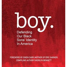 boy: Defending Our Black Sons' Identity in America 精裝版, Sherilyn Bennett, 英文