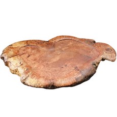 阿里山小姑娘 楠木瘤乾式茶盤 原木茶盤(日式茶盤), 木色, 1個