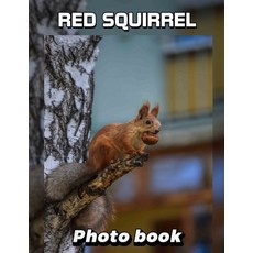 (英文圖書) Red Squirrel Photo Book: 40 Stunning Images Capturing Nature's Playful Rodent F... 平裝版, Independently Published, 英文