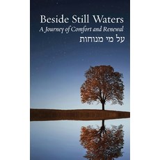 (英文圖書) Beside Still Waters: A Journey of Comfort and Renewal 精裝版, Ben Yehuda Press, 英文