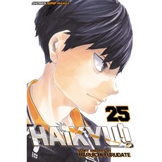 (英文圖書)Haikyu!! Vol. 25 平裝版, Viz Media, 英文