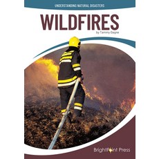 (英文圖書) Wildfires 精裝版, Brightpoint Press, 英文