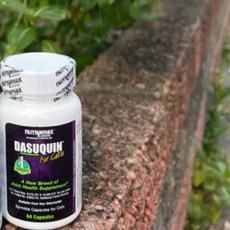 Natramax DASUQUIN For Cats 貓關節保健品 84顆, 1個, Joints, 84