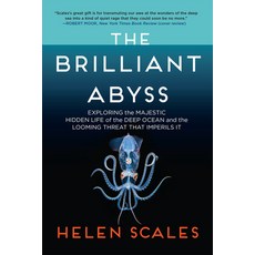 (英文圖書) The Brilliant Abyss: Exploring the Majestic Hidden Life of the Deep Ocean and the Looming Th... 平裝版, Atlantic Monthly Press, 英文