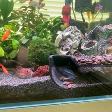 角落地下洞穴躲避屋 兩尺寸可選 - 魚缸造景 躲避洞穴 魚類減壓 寵物水族箱裝飾, 1個