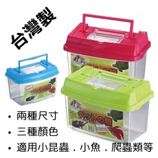 臺灣製 塑膠寵物箱 DJ-04A-62200, 藍