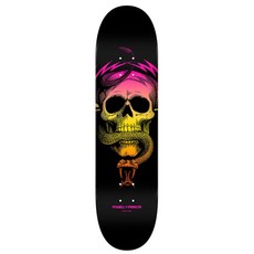 Powell Peralta McGill Skull & Snake Fade Orange 8.0吋 滑板板身 經典骷髏蛇圖案